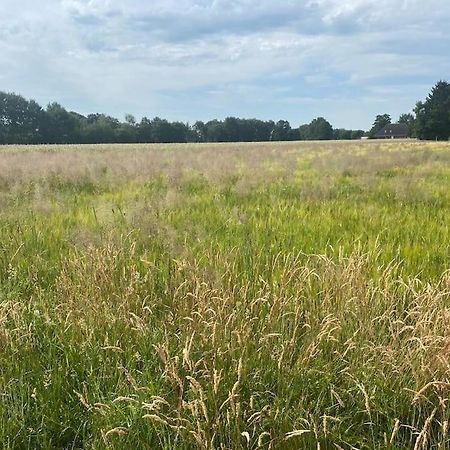 Apartamento Kunst Und Natur In Worpswede Exterior foto
